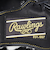 ローリングス（Rawlings）軟式用グラブ 投手用 一般 プロエクセルウィザード 02 GR4HW2A15MG-B-RH 左投げ用