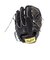 ローリングス（Rawlings）硬式用グラブ 投手用 野球グローブ 一般 HOH プレミアム Vブラック GH4FHPA15W-VB