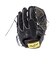 ローリングス（Rawlings）硬式用グラブ 投手用 野球グローブ 一般 HOH プレミアム Vブラック GH4FHPA15W-VB