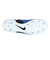 ナイキ（NIKE）サッカースパイク 土用 ハードグラウンド用 サッカーシューズ レジェンド 10 PRO HG DV4332-400