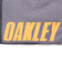 オークリー（OAKLEY）Essential ディパック S 7.0 Ytr FOS901424-71M 15L 小型 オレンジ