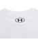 アンダーアーマー（UNDER ARMOUR）スーパービッグロゴ 長袖 Tシャツ 1388278 100