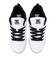 ディーシーシューズ（DC SHOES）スニーカー ボーダーシューズ COURT VULC SE SN 24FWDM244024WPT