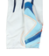 ミズノ（MIZUNO）バッティング用グローブ 野球 ミズノプロ シリコンパワーアークDI 両手用 mizuno pro 1EJEA53721