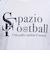スパッツィオ（SPAZIO）サッカー フットサルウェア ラインリブ長袖プラシャツ GE-1006-01