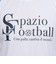 スパッツィオ（SPAZIO）サッカー フットサルウェア ラインリブ長袖プラシャツ GE-1006-01