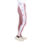 ロキシー（ROXY）HEALING TIME レギンス VER2 24FWRPT244517MUL