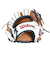 ウイルソン（Wilson）軟式用グラブ 野球グローブ 一般 Wannabe Hero DUAL 内野手用 27型 WBW102411