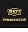 ゼット（ZETT）野球 ネックウォーマー プロステイタス PROSTATUS BFN110-1900