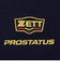 ゼット（ZETT）野球 ネックウォーマー プロステイタス PROSTATUS BFN110-2900