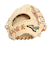 ミズノ（MIZUNO）硬式用グラブ 内野手用 野球グローブ 一般 グローバルエリート Hselection SIGNA AXI 1AJGH31423 8049