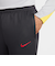 ナイキ（NIKE）リバプール リヴァプール LFC DF STRK パンツ KPZ3R FQ2454-070