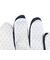 オークリー（OAKLEY）バッティング用グローブ 野球 STRIKING GLOVE 両手用 FOS901851-6DG
