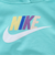 ナイキ（NIKE）CLUB FT HBR プルオーバーパーカー 76L095-EIG