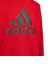 アディダス（adidas）キッズ エッセンシャルズプラス ビッグロゴ プルオーバーパーカー KWF36-JE1734