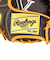 ローリングス（Rawlings）軟式用グラブ 外野手用 野球グローブ 左投用 ハイパーテック COLOR SYNC GR4FHTCY719-DBR/PY-RH