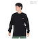 カーハート（CARHARTT）ロングスリーブ アメリカンスクリプト Tシャツ I02995589XX24FW