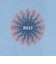 リーフ（REEF）AYESUNRAYS スウェットシャツ RFSWM2402-B.GRY