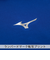 ミズノ（MIZUNO）野球 長袖 アンダーシャツ ジュニア バイオギア ハイネック 12JABC5016