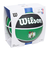 ウイルソン（Wilson）バスケットボール 7号球 NBA TEAM TRIBUTE ボストン・セルティックス ラバー WTB1300XBBOS