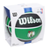 ウイルソン（Wilson）バスケットボール 7号球 NBA TEAM TRIBUTE ボストン・セルティックス ラバー WTB1300XBBOS
