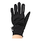 ダカイン（DAKINE）スキー スノーボード グローブ ライナーグローブ スマホ対応 RAMBLER LINER GLOVE BE237728 BLK