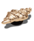 クロックス（crocs）ジビッツ チャーム ゴールド シーシェル 10011620