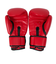 ファイティングロード Co.Ltd（FIGHTING ROAD CO.LTD）ボクシンググローブ 6oz 赤 FR20SMO001/6/R