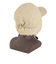 エレクトリック（ELECTRIC）EARFLAP LOW キャップ E24FC14 TAN