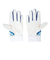 ミズノ（MIZUNO）ジュニア バッティング用グローブ 野球 シリコンパワーアークDI レプリカ 両手用 1EJEY54121