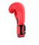 ファイティングロード Co.Ltd（FIGHTING ROAD CO.LTD）ボクシンググローブ 8oz 赤 FR20SMO001/8/R ボクシング トレー…