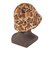 エクストララージ（XLARGE）スウェード ボール ハット 101244051001-BROWN