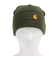 カーハート（CARHARTT）AMERICAN SCRIPTビーニー I0342352BRXX24FW