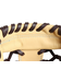 ミズノ（MIZUNO）少年軟式用グラブ オールラウンド用 野球グローブ グローバルエリートRG Hselection SIGNA 1AJGY31350 806…