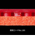 バタフライ（Butterfly）卓球ラバー テナジー 80FX RED 05940