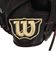 ウイルソン（Wilson）少年軟式用グラブ 捕手用 野球グローブ ジュニア DMAXDUAL WBW103132