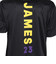 エヌビーエー（NBA）バスケットボールウェア 半袖Tシャツ ロサンゼルス レイカーズ PK2B73AAP-LeBron