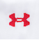 アンダーアーマー（UNDER ARMOUR）靴下 チームス サッカー ソリッドソックス 1301900 102