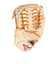 ミズノ（MIZUNO）硬式用グラブ 外野手用 野球グローブ 一般 グローバルエリート ジャパン 1AJGH30107 8049H