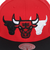 TRIPLE UP SNAPBACK キャップ NBA シカゴ ブルズ HS10010-CBURED1