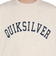 クイックシルバー（Quiksilver）スウェット プルオーバー QPO246902GRH