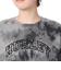 ハーレー（HURLEY）ARC ロゴ CROP 半袖Tシャツ WSS2421021-BLKT