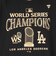WORLD SERIES CHAMPION 2024 パレードTシャツ ML0124FW0192