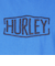 ハーレー（HURLEY）ピグメント DYED 半袖Tシャツ MSS2411016-BLE