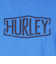 ハーレー（HURLEY）ピグメント DYED 半袖Tシャツ MSS2411016-BLE