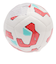 ナイキ（NIKE）サッカーボール 4号球 ピッチ FZ2636-104-4