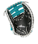ローリングス（Rawlings）軟式用グラブ 一塁手用 野球グローブ 一般 ハイパーテックCOLOR SYNC GR5HTCM53-B/MGRN