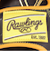ローリングス（Rawlings）軟式用グラブ オールラウンド用 野球グローブ 一般 ハイパーテック MLB チーム GR5HTMN55W-SPD