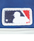 ローリングス（Rawlings）軟式用グラブ 外野手用 野球グローブ 一般 ハイパーテック MLB チーム GR5HTMY719-LAD