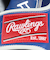 ローリングス（Rawlings）軟式用グラブ 外野手用 野球グローブ 一般 ハイパーテック MLB チーム GR5HTMY719-LAD